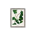 Picture of Nostalgic Green Murgrona Leaves _GroupedProduct_Rectangle_Portrait_Framed_Matted_