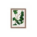 Picture of Nostalgic Green Murgrona Leaves _GroupedProduct_Rectangle_Portrait_Framed_Matted_