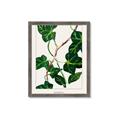 Picture of Nostalgic Green Murgrona Leaves _GroupedProduct_Rectangle_Portrait_Framed_Matted_
