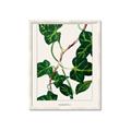 Picture of Nostalgic Green Murgrona Leaves _GroupedProduct_Rectangle_Portrait_Framed_Matted_