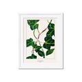 Picture of Nostalgic Green Murgrona Leaves _GroupedProduct_Rectangle_Portrait_Framed_Matted_