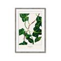 Picture of Nostalgic Green Murgrona Leaves _GroupedProduct_Rectangle_Portrait_Framed_Matted_