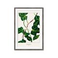 Picture of Nostalgic Green Murgrona Leaves _GroupedProduct_Rectangle_Portrait_Framed_Matted_