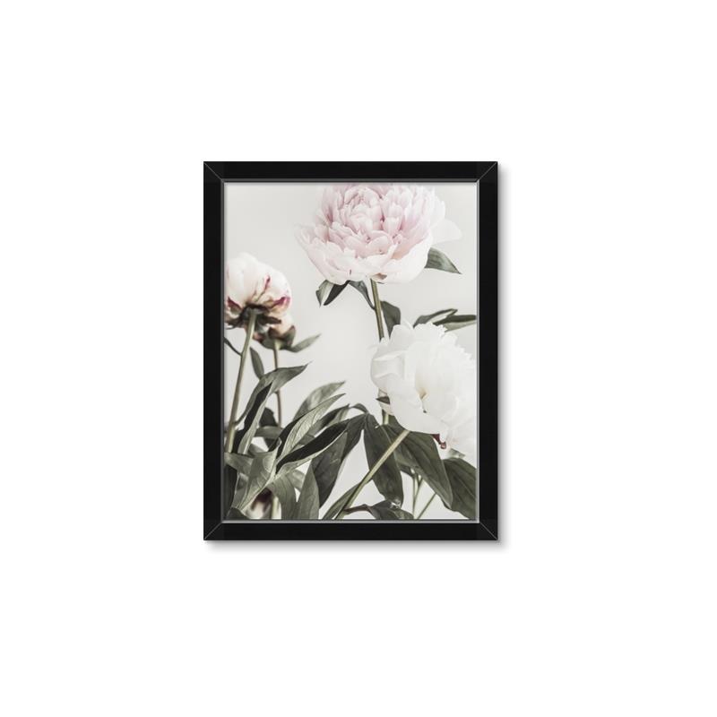 Picture of Romantic Blur Peony V _GroupedProduct_Rectangle_Portrait_Photography _GroupedProduct_Rectangle_Portrait_Framed_Matted_