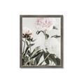 Picture of Romantic Blur Peony V _GroupedProduct_Rectangle_Portrait_Photography _GroupedProduct_Rectangle_Portrait_Framed_Matted_