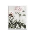 Picture of Romantic Blur Peony V _GroupedProduct_Rectangle_Portrait_Photography _GroupedProduct_Rectangle_Portrait_Framed_Matted_