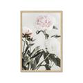 Picture of Romantic Blur Peony V _GroupedProduct_Rectangle_Portrait_Photography _GroupedProduct_Rectangle_Portrait_Framed_Matted_