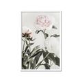 Picture of Romantic Blur Peony V _GroupedProduct_Rectangle_Portrait_Photography _GroupedProduct_Rectangle_Portrait_Framed_Matted_