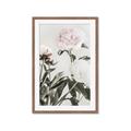Picture of Romantic Blur Peony V _GroupedProduct_Rectangle_Portrait_Photography _GroupedProduct_Rectangle_Portrait_Framed_Matted_
