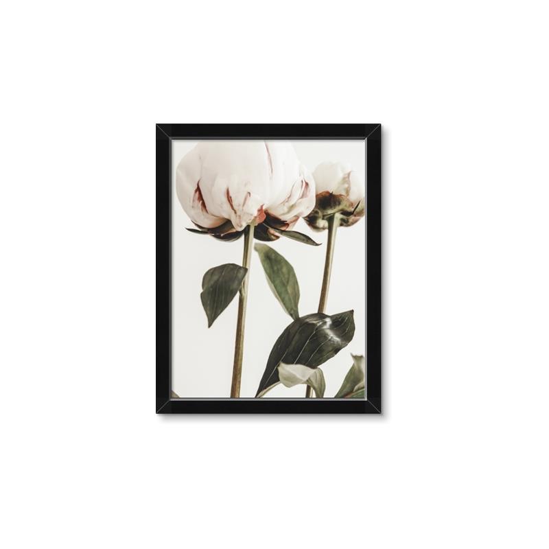 Picture of Romantic Blur Peony IV _GroupedProduct_Rectangle_Portrait_Photography _GroupedProduct_Rectangle_Portrait_Framed_Matted_