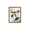 Picture of Romantic Blur Peony IV _GroupedProduct_Rectangle_Portrait_Photography _GroupedProduct_Rectangle_Portrait_Framed_Matted_