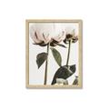 Picture of Romantic Blur Peony IV _GroupedProduct_Rectangle_Portrait_Photography _GroupedProduct_Rectangle_Portrait_Framed_Matted_