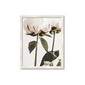 Picture of Romantic Blur Peony IV _GroupedProduct_Rectangle_Portrait_Photography _GroupedProduct_Rectangle_Portrait_Framed_Matted_