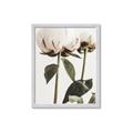Picture of Romantic Blur Peony IV _GroupedProduct_Rectangle_Portrait_Photography _GroupedProduct_Rectangle_Portrait_Framed_Matted_