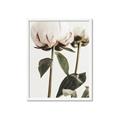 Picture of Romantic Blur Peony IV _GroupedProduct_Rectangle_Portrait_Photography _GroupedProduct_Rectangle_Portrait_Framed_Matted_