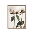 Picture of Romantic Blur Peony IV _GroupedProduct_Rectangle_Portrait_Photography _GroupedProduct_Rectangle_Portrait_Framed_Matted_