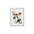 Picture of Romantic Blur Peony IV _GroupedProduct_Rectangle_Portrait_Photography _GroupedProduct_Rectangle_Portrait_Framed_Matted_