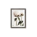 Picture of Romantic Blur Peony IV _GroupedProduct_Rectangle_Portrait_Photography _GroupedProduct_Rectangle_Portrait_Framed_Matted_