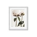 Picture of Romantic Blur Peony IV _GroupedProduct_Rectangle_Portrait_Photography _GroupedProduct_Rectangle_Portrait_Framed_Matted_