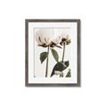 Picture of Romantic Blur Peony IV _GroupedProduct_Rectangle_Portrait_Photography _GroupedProduct_Rectangle_Portrait_Framed_Matted_