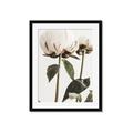 Picture of Romantic Blur Peony IV _GroupedProduct_Rectangle_Portrait_Photography _GroupedProduct_Rectangle_Portrait_Framed_Matted_