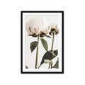 Picture of Romantic Blur Peony IV _GroupedProduct_Rectangle_Portrait_Photography _GroupedProduct_Rectangle_Portrait_Framed_Matted_