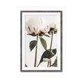 Picture of Romantic Blur Peony IV _GroupedProduct_Rectangle_Portrait_Photography _GroupedProduct_Rectangle_Portrait_Framed_Matted_