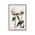 Picture of Romantic Blur Peony IV _GroupedProduct_Rectangle_Portrait_Photography _GroupedProduct_Rectangle_Portrait_Framed_Matted_