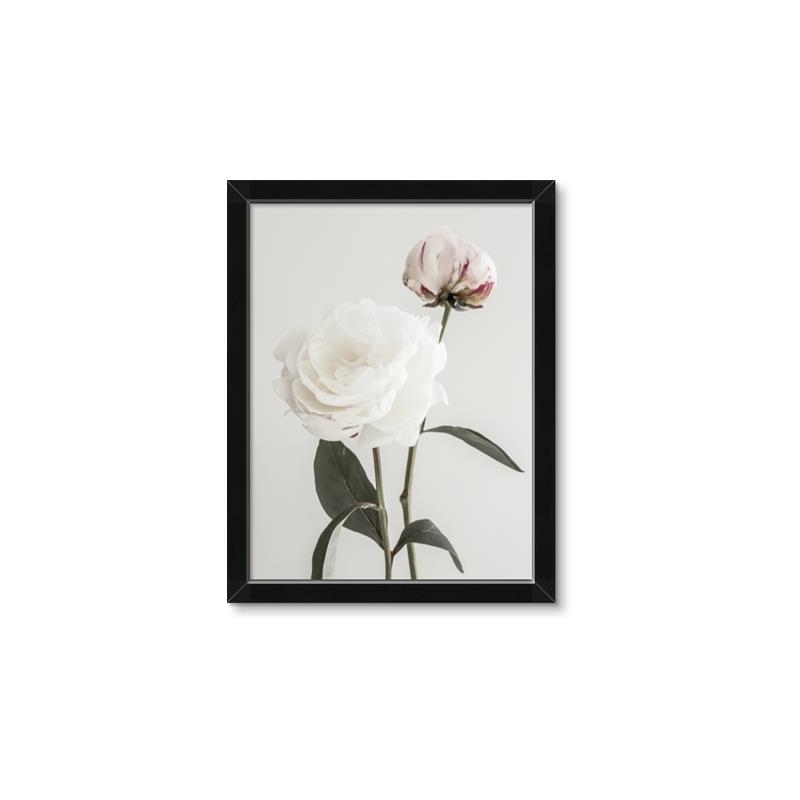 Picture of Romantic Blur Peony III _GroupedProduct_Rectangle_Portrait_Photography _GroupedProduct_Rectangle_Portrait_Framed_Matted_