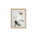 Picture of Romantic Blur Peony III _GroupedProduct_Rectangle_Portrait_Photography _GroupedProduct_Rectangle_Portrait_Framed_Matted_