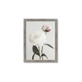 Picture of Romantic Blur Peony III _GroupedProduct_Rectangle_Portrait_Photography _GroupedProduct_Rectangle_Portrait_Framed_Matted_