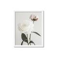 Picture of Romantic Blur Peony III _GroupedProduct_Rectangle_Portrait_Photography _GroupedProduct_Rectangle_Portrait_Framed_Matted_