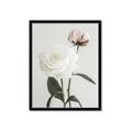 Picture of Romantic Blur Peony III _GroupedProduct_Rectangle_Portrait_Photography _GroupedProduct_Rectangle_Portrait_Framed_Matted_