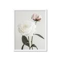 Picture of Romantic Blur Peony III _GroupedProduct_Rectangle_Portrait_Photography _GroupedProduct_Rectangle_Portrait_Framed_Matted_