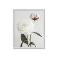 Picture of Romantic Blur Peony III _GroupedProduct_Rectangle_Portrait_Photography _GroupedProduct_Rectangle_Portrait_Framed_Matted_
