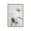 Picture of Romantic Blur Peony III _GroupedProduct_Rectangle_Portrait_Photography _GroupedProduct_Rectangle_Portrait_Framed_Matted_
