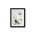 Picture of Romantic Blur Peony III _GroupedProduct_Rectangle_Portrait_Photography _GroupedProduct_Rectangle_Portrait_Framed_Matted_