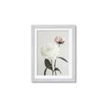 Picture of Romantic Blur Peony III _GroupedProduct_Rectangle_Portrait_Photography _GroupedProduct_Rectangle_Portrait_Framed_Matted_