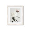 Picture of Romantic Blur Peony III _GroupedProduct_Rectangle_Portrait_Photography _GroupedProduct_Rectangle_Portrait_Framed_Matted_