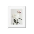 Picture of Romantic Blur Peony III _GroupedProduct_Rectangle_Portrait_Photography _GroupedProduct_Rectangle_Portrait_Framed_Matted_