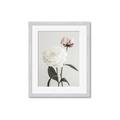 Picture of Romantic Blur Peony III _GroupedProduct_Rectangle_Portrait_Photography _GroupedProduct_Rectangle_Portrait_Framed_Matted_