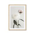 Picture of Romantic Blur Peony III _GroupedProduct_Rectangle_Portrait_Photography _GroupedProduct_Rectangle_Portrait_Framed_Matted_