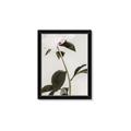 Picture of Romantic Blur Peony II _GroupedProduct_Rectangle_Portrait_Photography _GroupedProduct_Rectangle_Portrait_Framed_Matted_