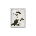 Picture of Romantic Blur Peony II _GroupedProduct_Rectangle_Portrait_Photography _GroupedProduct_Rectangle_Portrait_Framed_Matted_