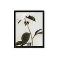 Picture of Romantic Blur Peony II _GroupedProduct_Rectangle_Portrait_Photography _GroupedProduct_Rectangle_Portrait_Framed_Matted_