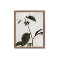 Picture of Romantic Blur Peony II _GroupedProduct_Rectangle_Portrait_Photography _GroupedProduct_Rectangle_Portrait_Framed_Matted_