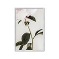 Picture of Romantic Blur Peony II _GroupedProduct_Rectangle_Portrait_Photography _GroupedProduct_Rectangle_Portrait_Framed_Matted_