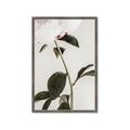 Picture of Romantic Blur Peony II _GroupedProduct_Rectangle_Portrait_Photography _GroupedProduct_Rectangle_Portrait_Framed_Matted_