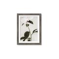 Picture of Romantic Blur Peony II _GroupedProduct_Rectangle_Portrait_Photography _GroupedProduct_Rectangle_Portrait_Framed_Matted_