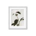 Picture of Romantic Blur Peony II _GroupedProduct_Rectangle_Portrait_Photography _GroupedProduct_Rectangle_Portrait_Framed_Matted_